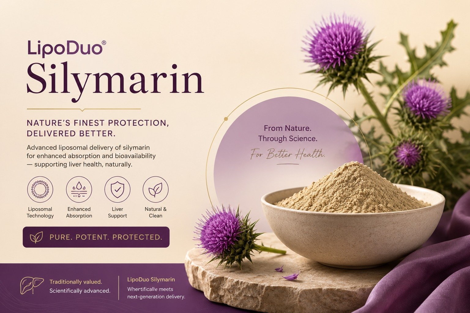 Silymarin product artwork